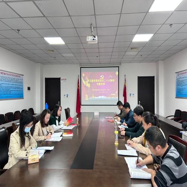 市审计局机关第二党支部学习党的二十大精神服务淮南经济社会高质量发展